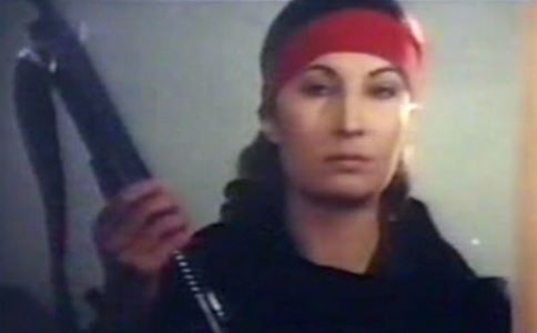 revenge.jpg (11843 bytes)