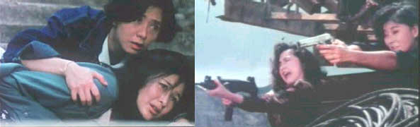 Pat Ha/Rosamund Kwan (Vengence is Mine) and Tien Niu/Elizabeth Lee (Widow Warriors)