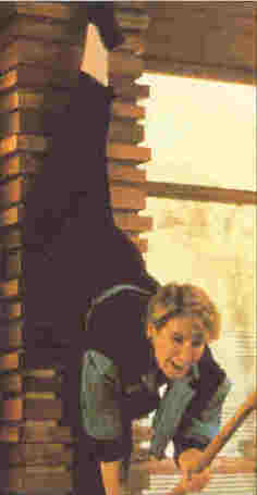 Cynthia Rothrock in one of many amazing moves