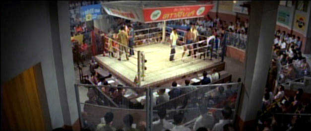 Celestial Pictures TI LUNG DOUBLE FEATURE: DUEL OF FISTS AND