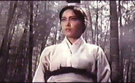 Hsu Feng
